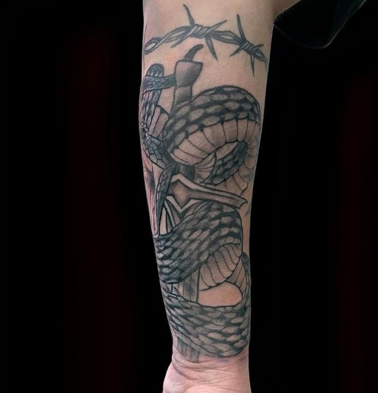 Shane portfolio work